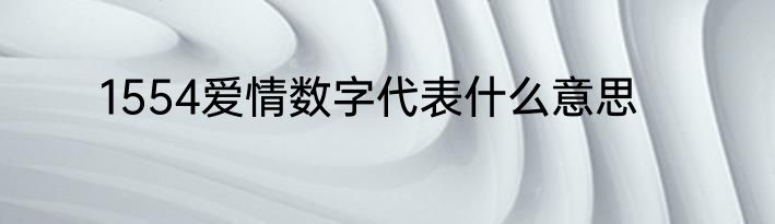 1554爱情数字代表什么意思