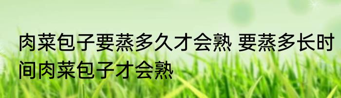 肉菜包子要蒸多久才会熟 要蒸多长时间肉菜包子才会熟