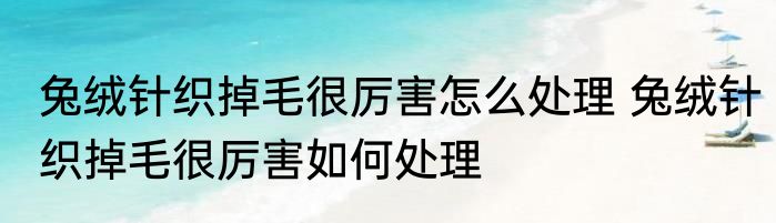 芝华士是什么东东