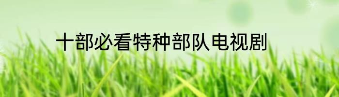 十部必看特种部队电视剧