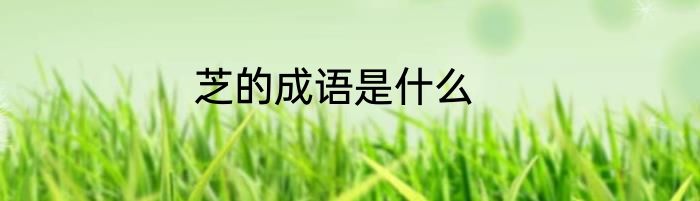 芝的成语是什么