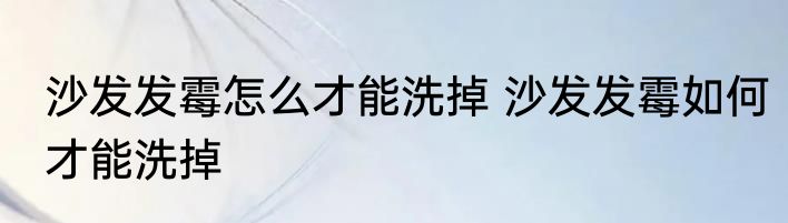 沙发发霉怎么才能洗掉 沙发发霉如何才能洗掉
