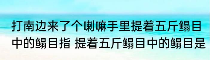 打南边来了个喇嘛手里提着五斤鳎目中的鳎目指 提着五斤鳎目中的鳎目是