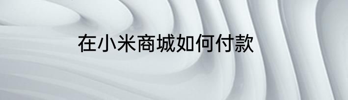 在小米商城如何付款