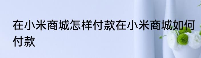 在小米商城怎样付款在小米商城如何付款