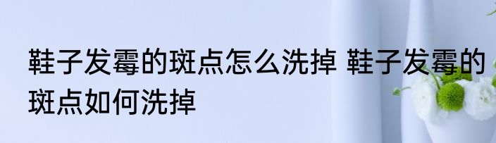 鞋子发霉的斑点怎么洗掉 鞋子发霉的斑点如何洗掉
