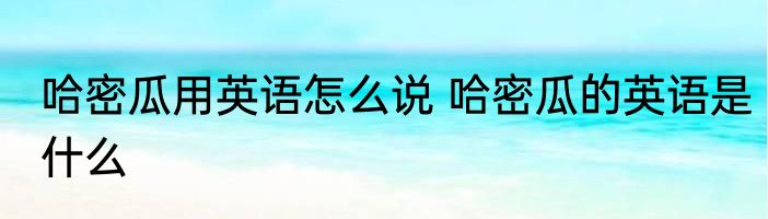 哈密瓜用英语怎么说 哈密瓜的英语是什么