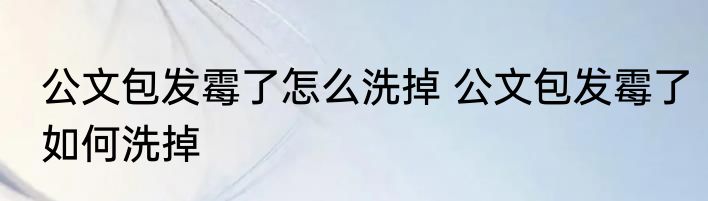 公文包发霉了怎么洗掉 公文包发霉了如何洗掉