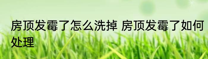 房顶发霉了怎么洗掉 房顶发霉了如何处理