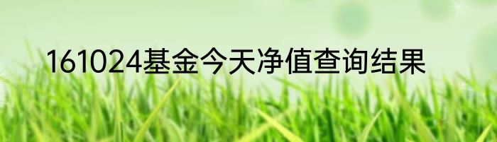 161024基金今天净值查询结果