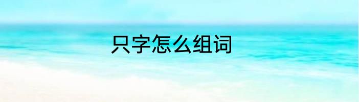 只字怎么组词