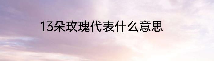 13朵玫瑰代表什么意思