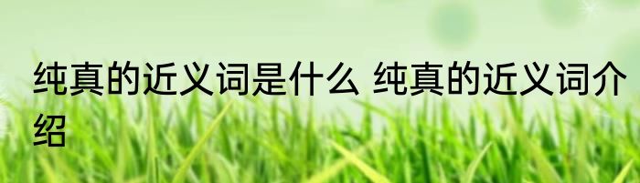 纯真的近义词是什么 纯真的近义词介绍