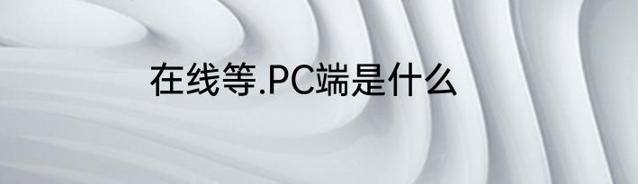 在线等.PC端是什么