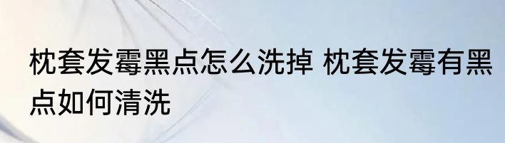 枕套发霉黑点怎么洗掉 枕套发霉有黑点如何清洗