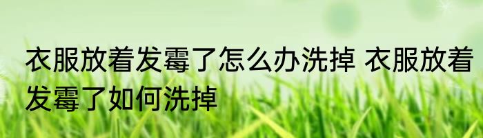 衣服放着发霉了怎么办洗掉 衣服放着发霉了如何洗掉