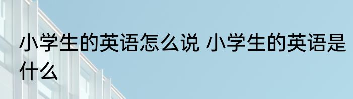 小学生的英语怎么说 小学生的英语是什么