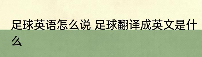 足球英语怎么说 足球翻译成英文是什么