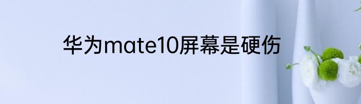 华为mate10屏幕是硬伤