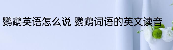 15元左右的细支烟