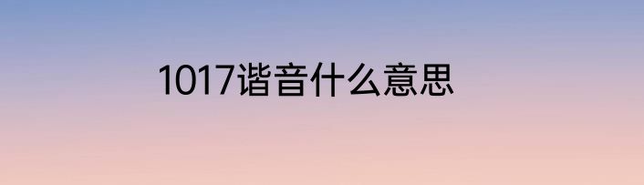 1017谐音什么意思