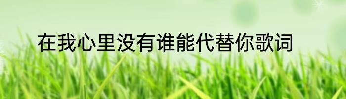 在我心里没有谁能代替你歌词