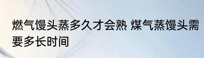 燃气馒头蒸多久才会熟 煤气蒸馒头需要多长时间