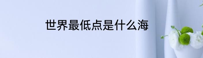 世界最低点是什么海