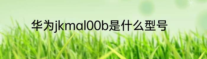 华为jkmal00b是什么型号