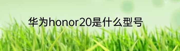 华为honor20是什么型号