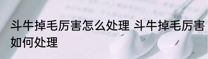 斗牛掉毛厉害怎么处理 斗牛掉毛厉害如何处理
