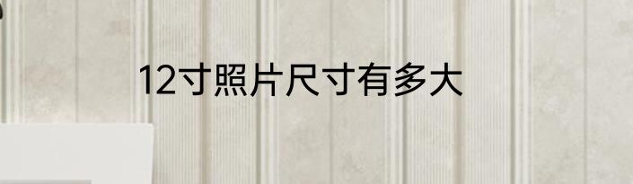 12寸照片尺寸有多大