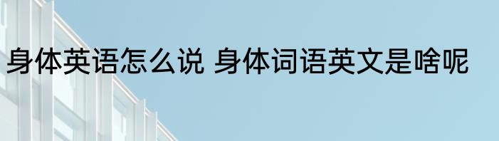 身体英语怎么说 身体词语英文是啥呢
