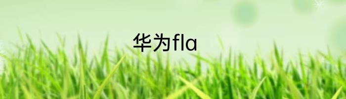 华为fla