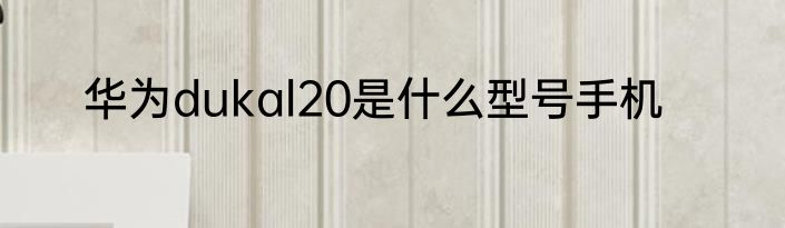 华为dukal20是什么型号手机