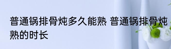 普通锅排骨炖多久能熟 普通锅排骨炖熟的时长