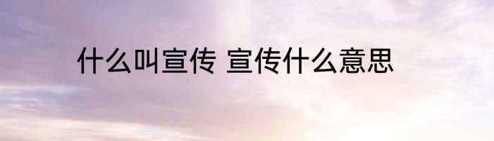 什么叫宣传 宣传什么意思