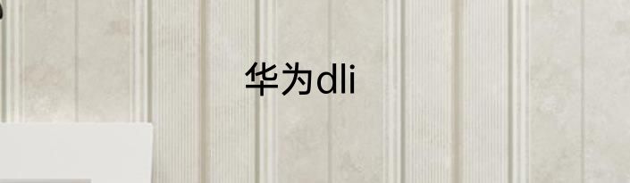 华为dli