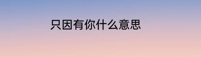 只因有你什么意思