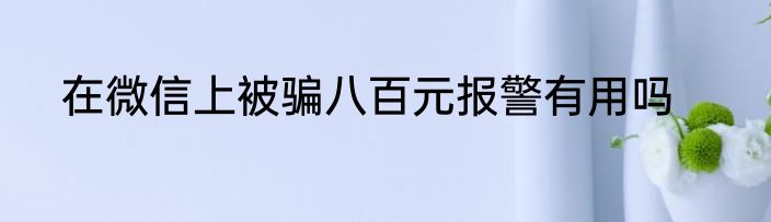 在微信上被骗八百元报警有用吗