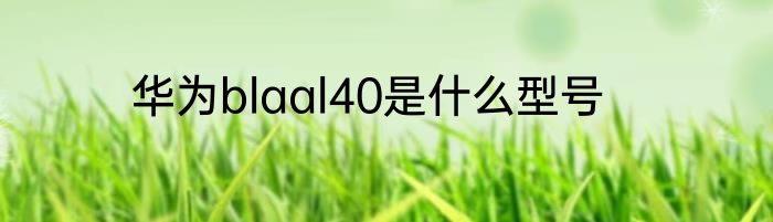 华为blaal40是什么型号