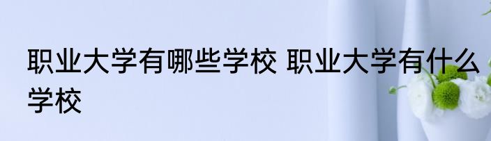 职业大学有哪些学校 职业大学有什么学校