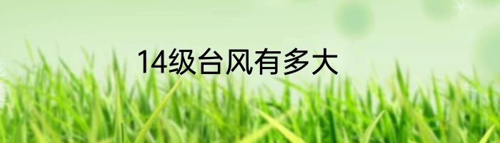 14级台风有多大