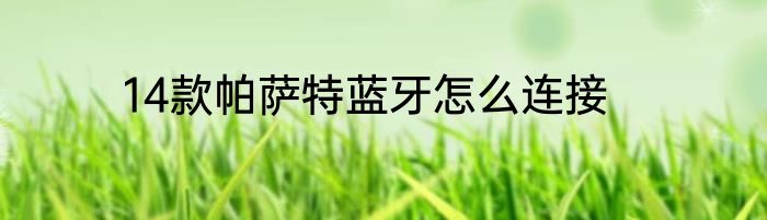 14款帕萨特蓝牙怎么连接