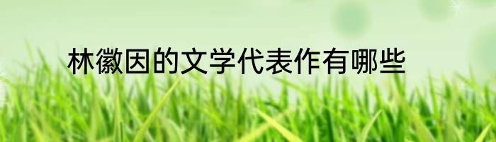 林徽因的文学代表作有哪些