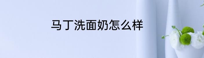 马丁洗面奶怎么样