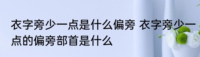 衣字旁少一点是什么偏旁 衣字旁少一点的偏旁部首是什么