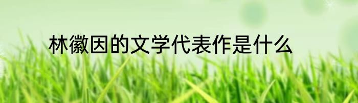 林徽因的文学代表作是什么