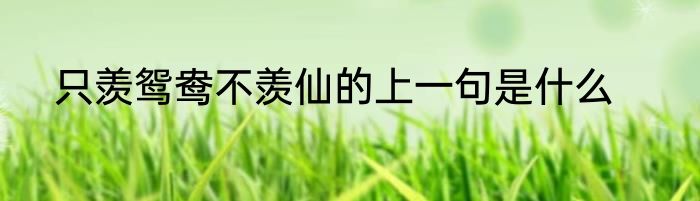只羡鸳鸯不羡仙的上一句是什么