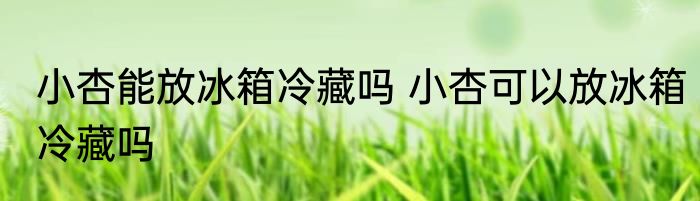 小杏能放冰箱冷藏吗 小杏可以放冰箱冷藏吗